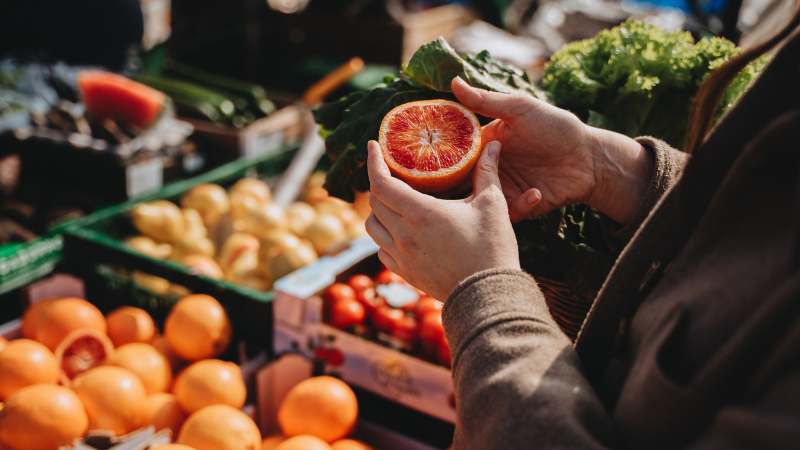 Exciting January Events to Enjoy Around Mobile and Baldwin Counties | Bellator